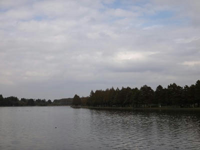 DSC00891_R.JPG