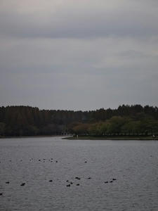 DSC00894_R.JPG