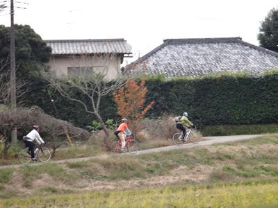 DSC01079_R.JPG