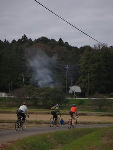 DSC01100_R.JPG