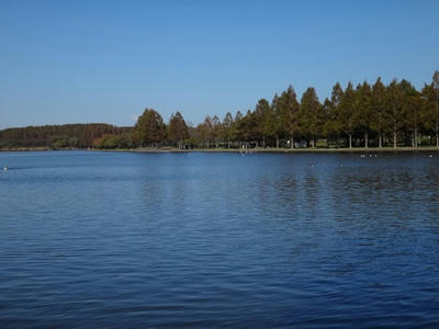 DSC01213_R.JPG