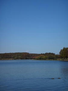 DSC01220_R.JPG