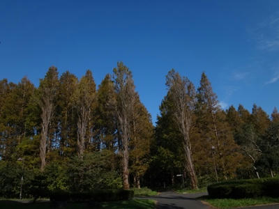 DSC01247_R.JPG