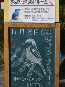 DSC01293_R.JPG