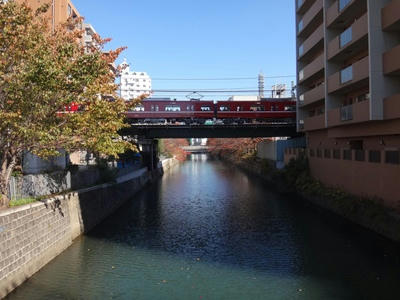 DSC01538_R.JPG