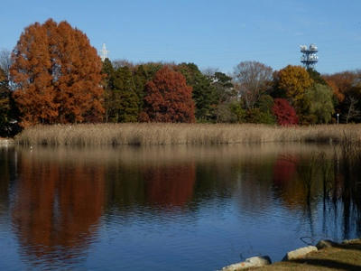 PC020037_R.JPG