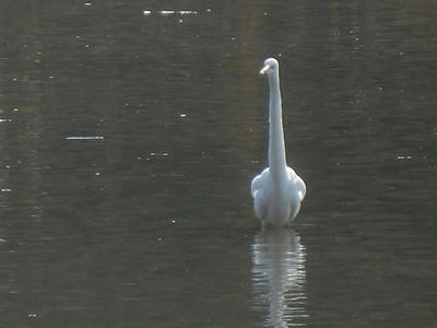 PC020080_R.JPG
