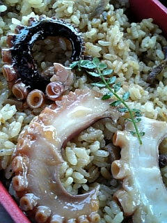 Image469~00.jpg