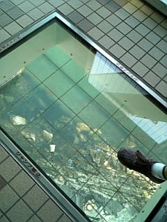 Image546~00.jpg