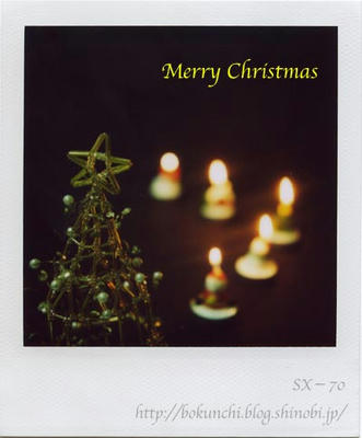 クリスマスの写真