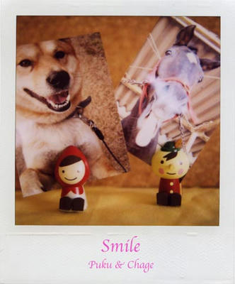 スマイルの写真