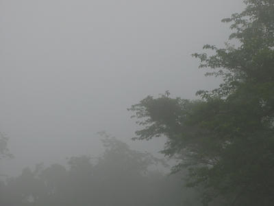 霧の写真