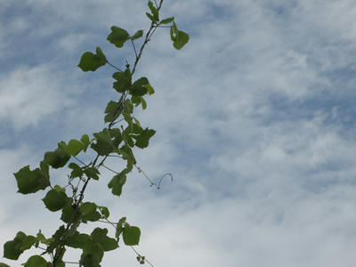 空の写真