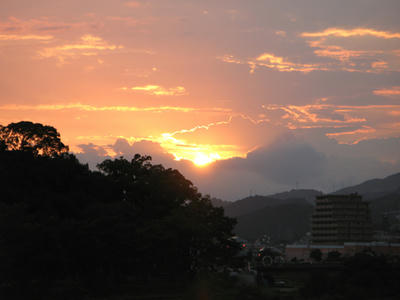 鏡川の写真