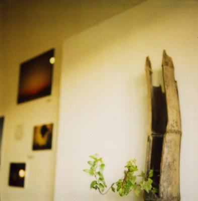 個展の写真