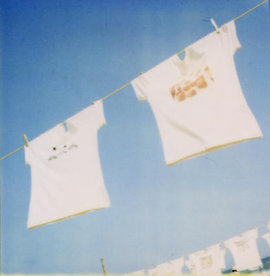 Tシャツの写真