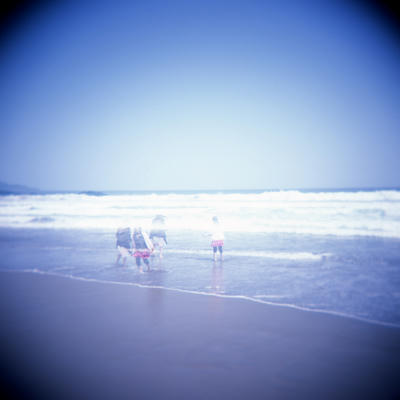 海の写真
