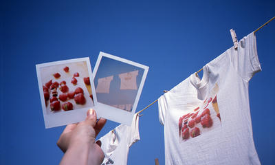 Tシャツの写真
