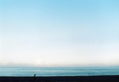 海の写真