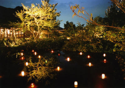 夜の植物園の写真