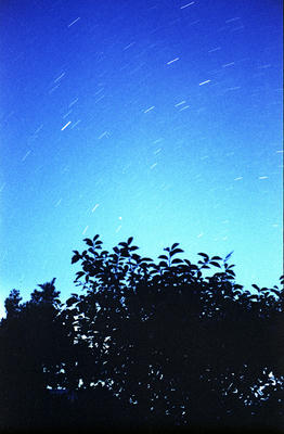 星の写真