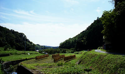 山の写真