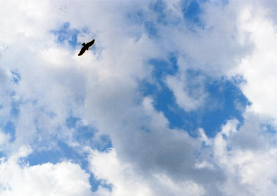 空の写真