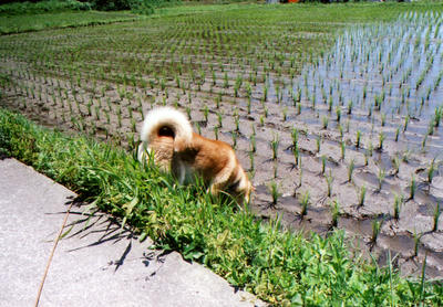 おしりの写真