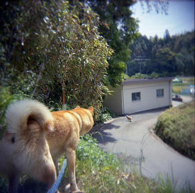 ぷくの写真
