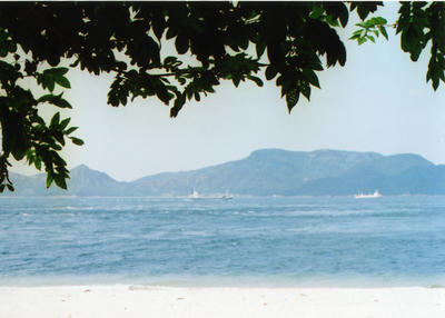 島の写真