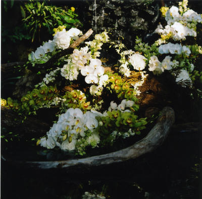 花の写真