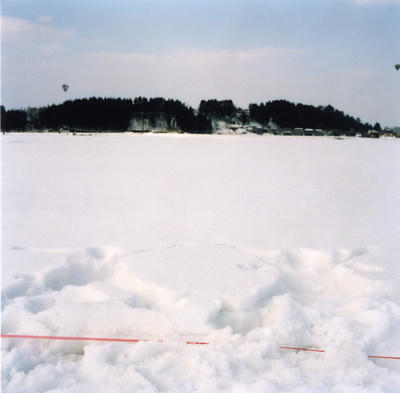 雪だるまの写真