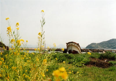 粟島の写真