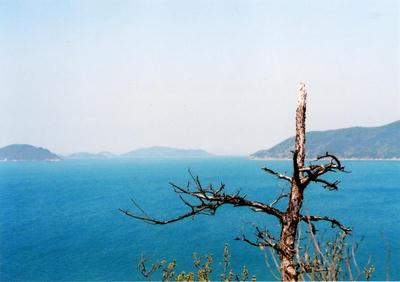 粟島の写真