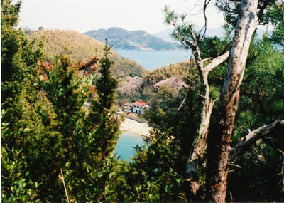 粟島の写真