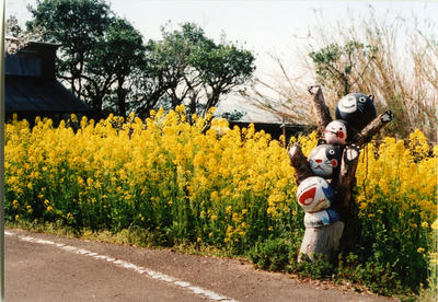 粟島の写真