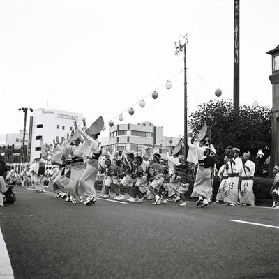 阿波踊りの写真