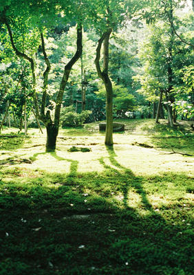 兼六園の写真