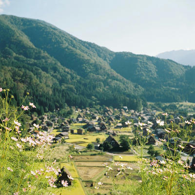 白川郷の写真