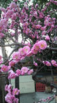 17d7670e.jpg