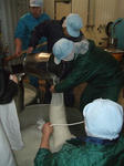DSCF8205.jpg