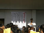 d4644878.jpg