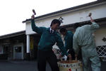 d0a03459.jpg