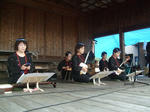 shamisen.JPG