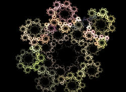 flower2