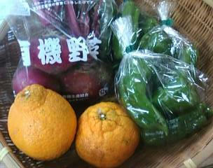 新年の九州野菜たち