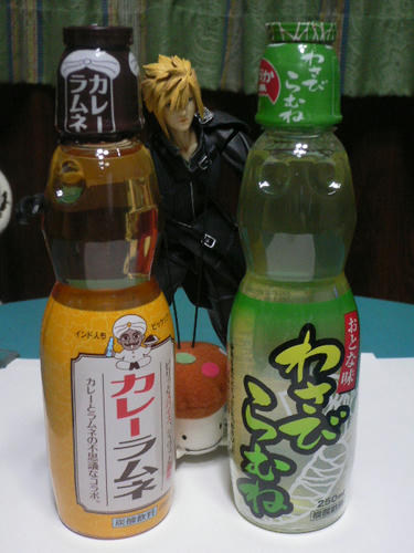 P1030550.JPG