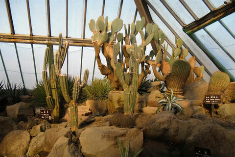 2011-3-28-12.jpg