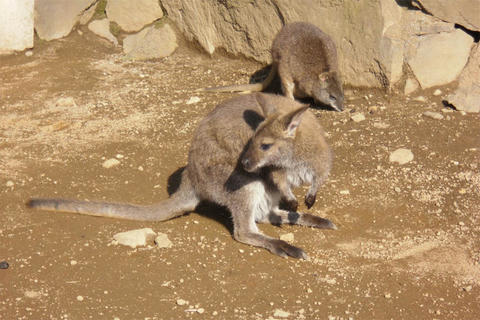 2011-3-28-123.jpg