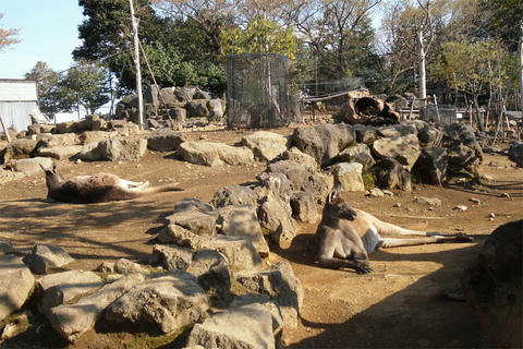 2011-3-28-1234.jpg